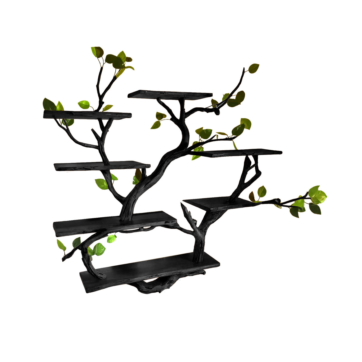 Arboris Botanical Handcrafted Tree Bookshelf Black - Timberustic Tree Bookshelf