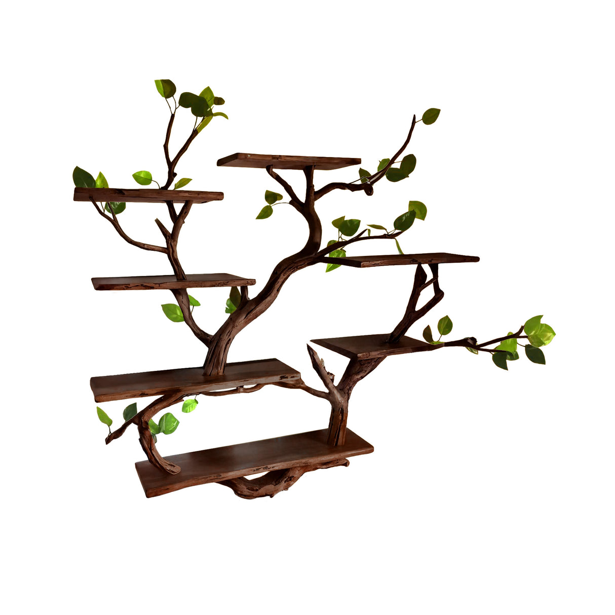 Arboris Botanical Handcrafted Tree Bookshelf Dark Walnut - Timberustic Tree Bookshelf
