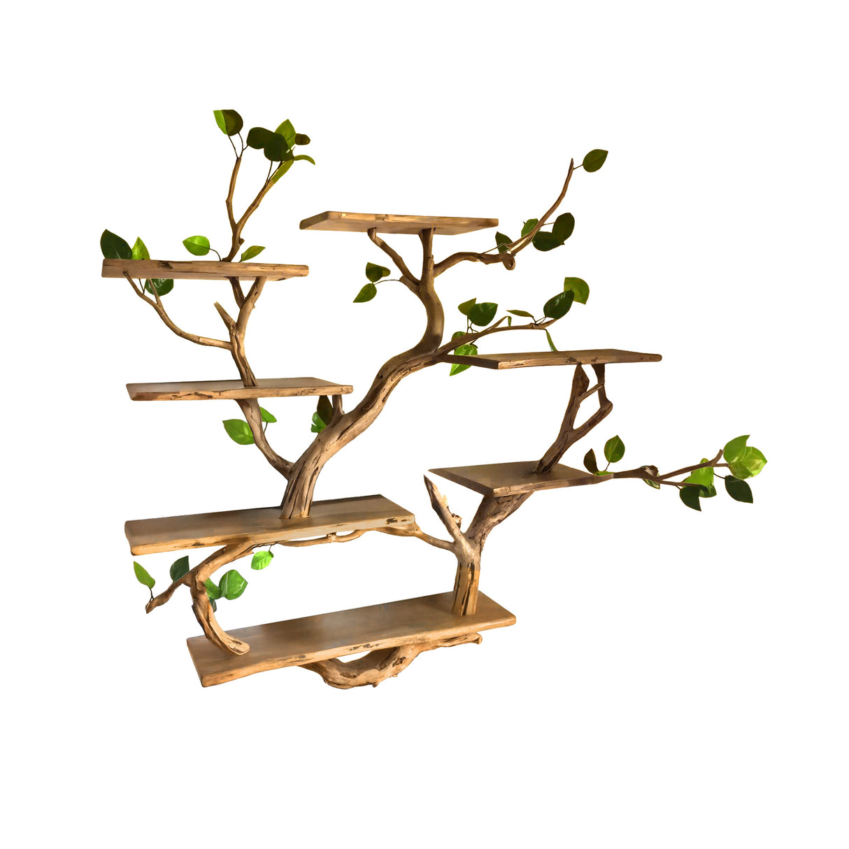 Arboris Botanical Handcrafted Tree Bookshelf Natural Oak - Timberustic Tree Bookshelf
