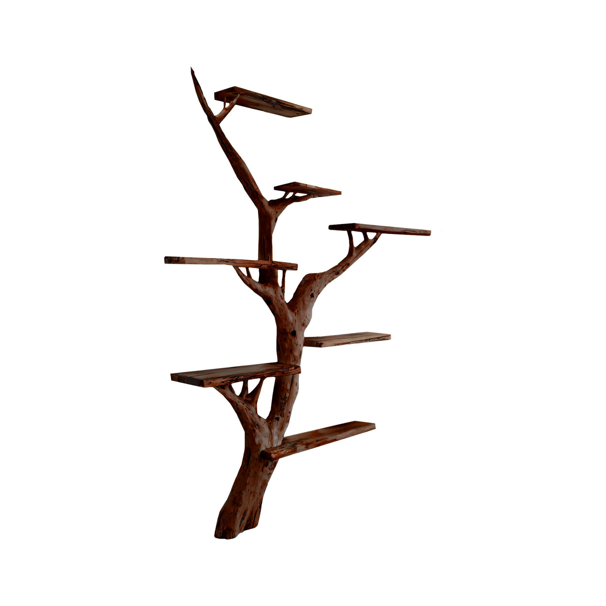 Arboris Tree-Form Sculptural Bookshelf Dark Walnut - Timberustic Tree Bookshelf