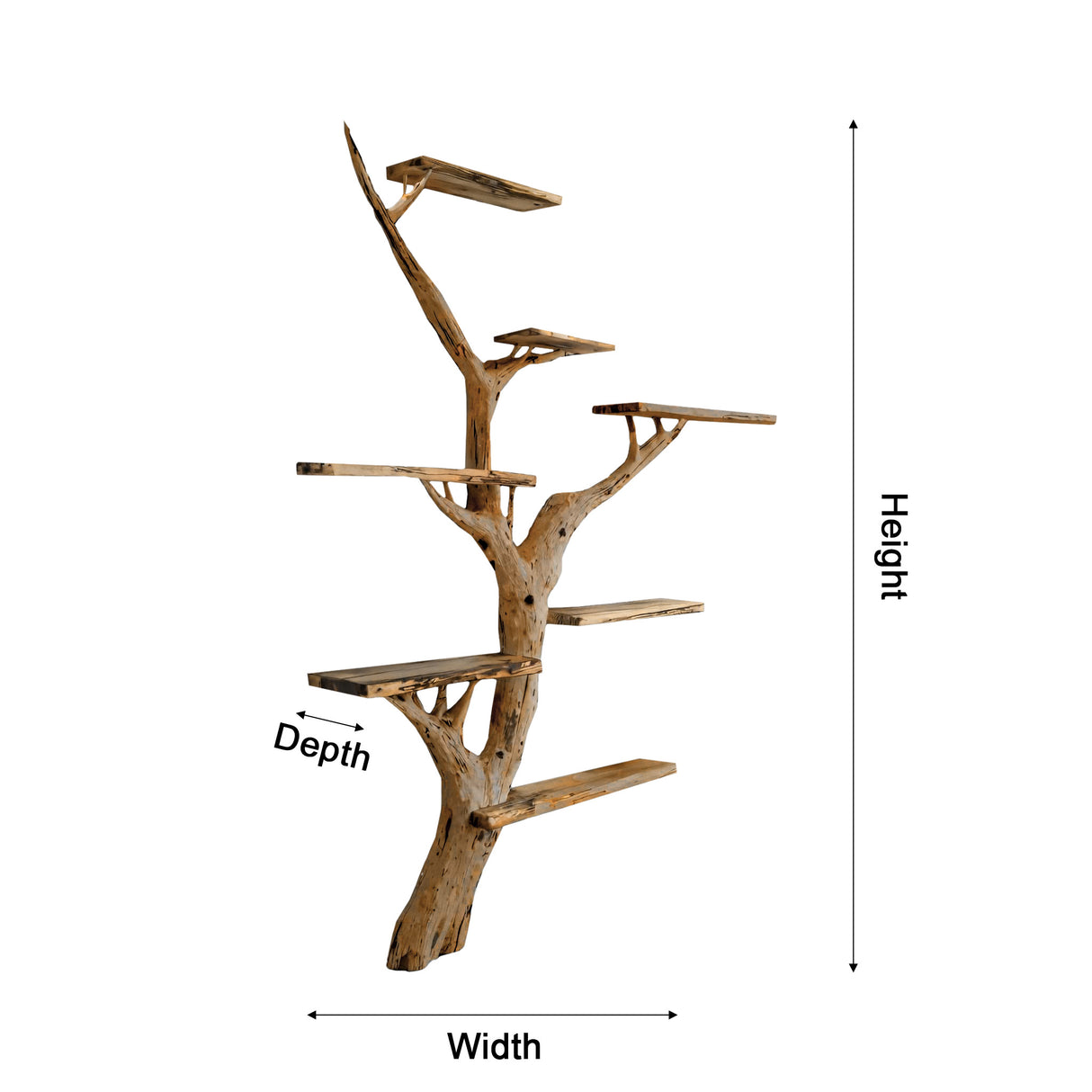 Arboris Tree-Form Sculptural Bookshelf - Timberustic Tree Bookshelf