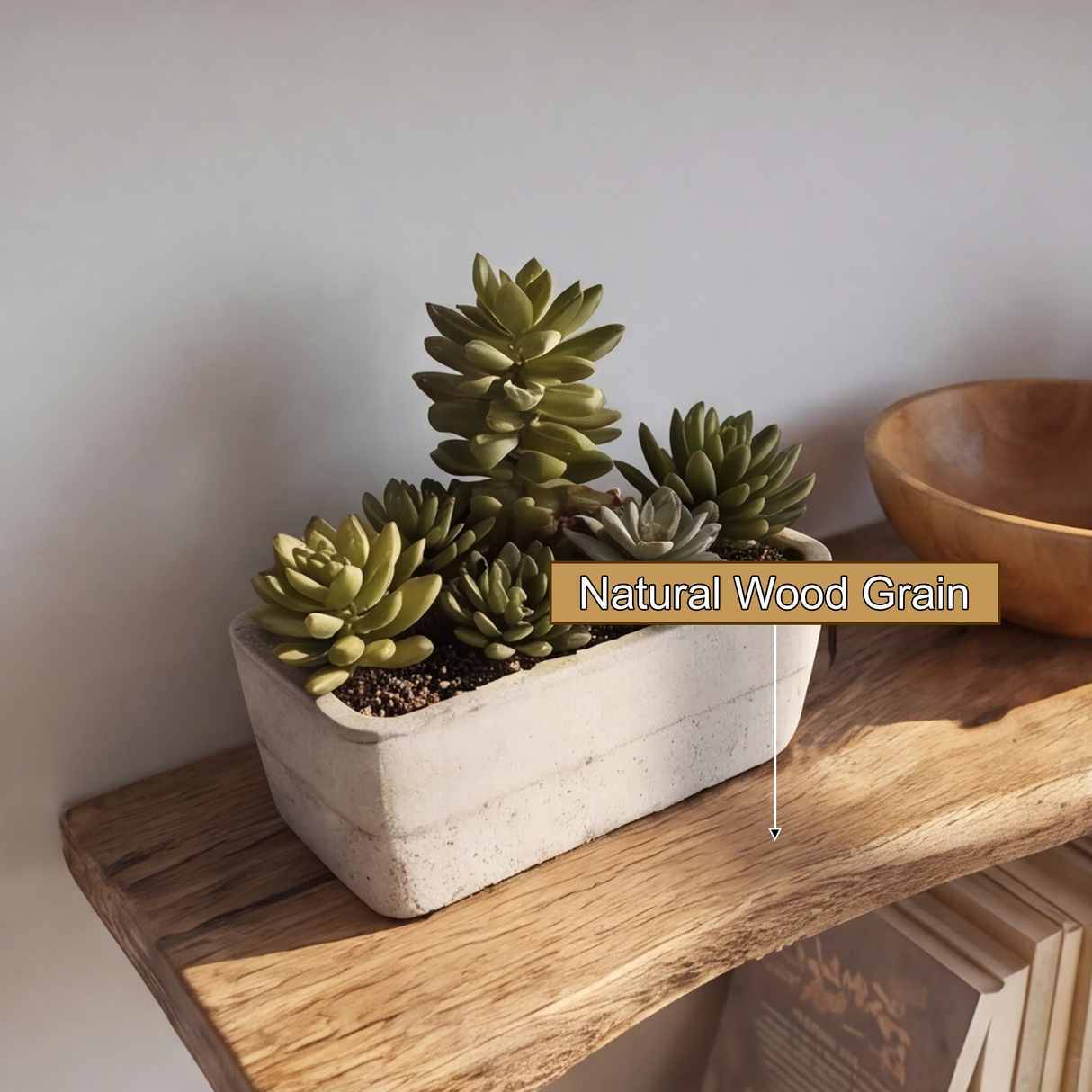 Arboris Vein Live Edge Solid Wood Tree Bookshelf - Timberustic Tree Bookshelf
