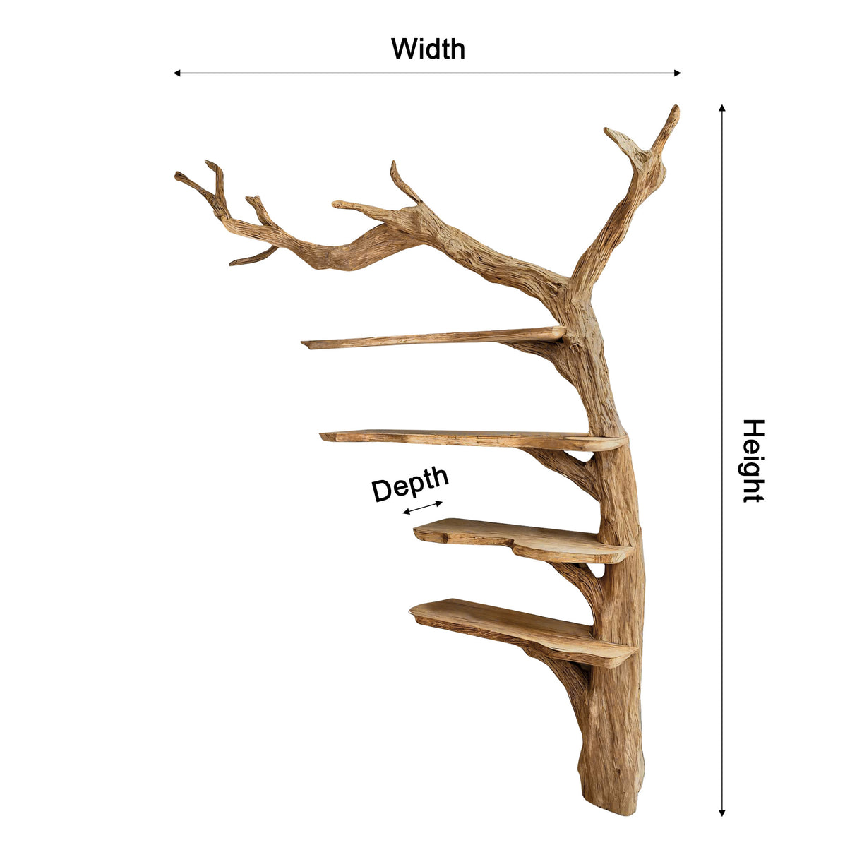 Aurelin Rooted Solid Wood Tree Bookshelf - Timberustic Tree Bookshelf