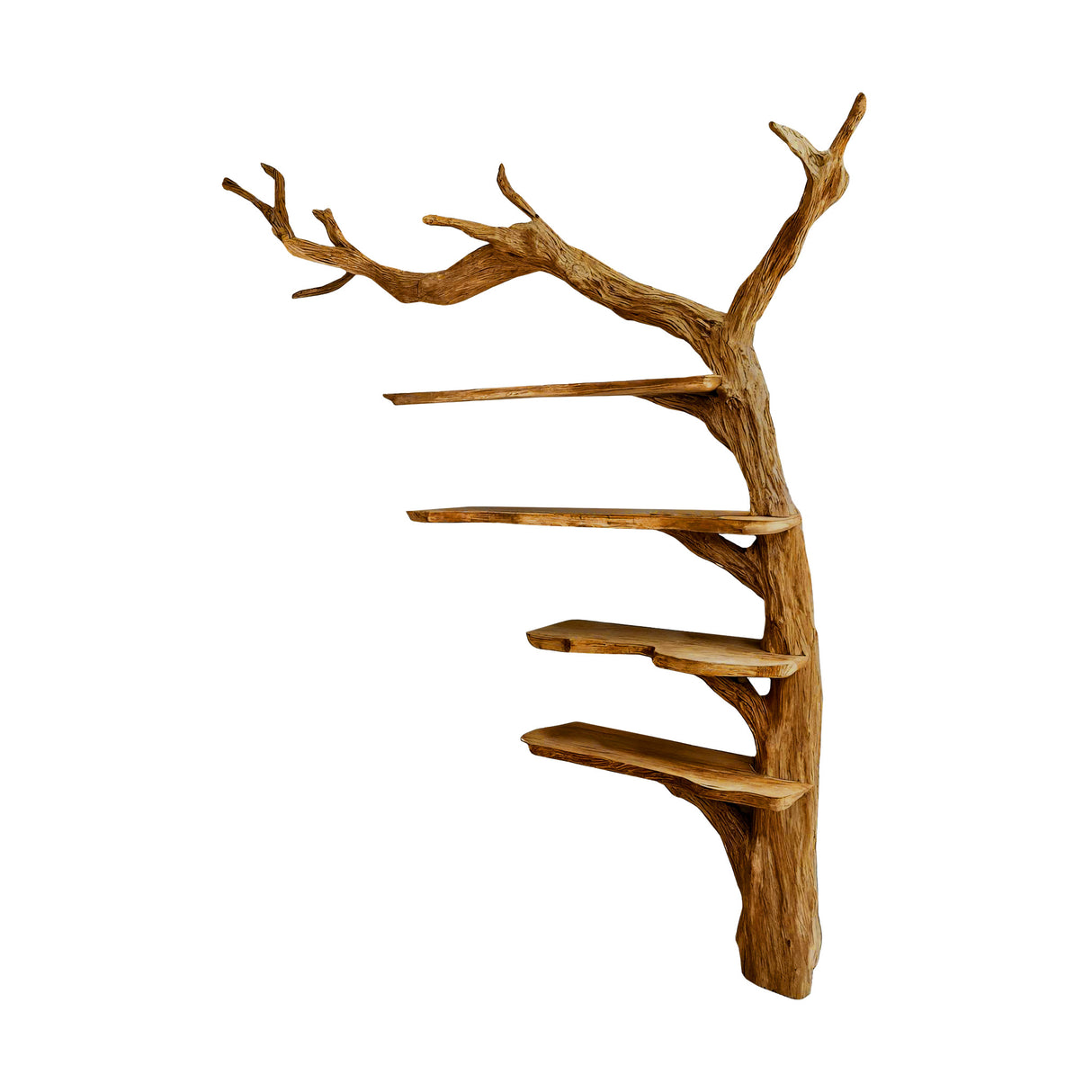 Aurelin Rooted Solid Wood Tree Bookshelf Teak - Timberustic Tree Bookshelf
