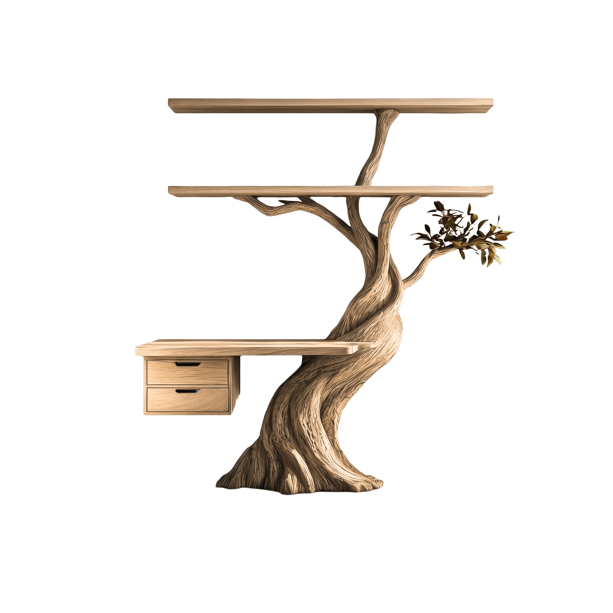 Caelvyr Organic Modern Tree Bookshelf with Drawers Natural Oak - Timberustic Tree Bookshelf