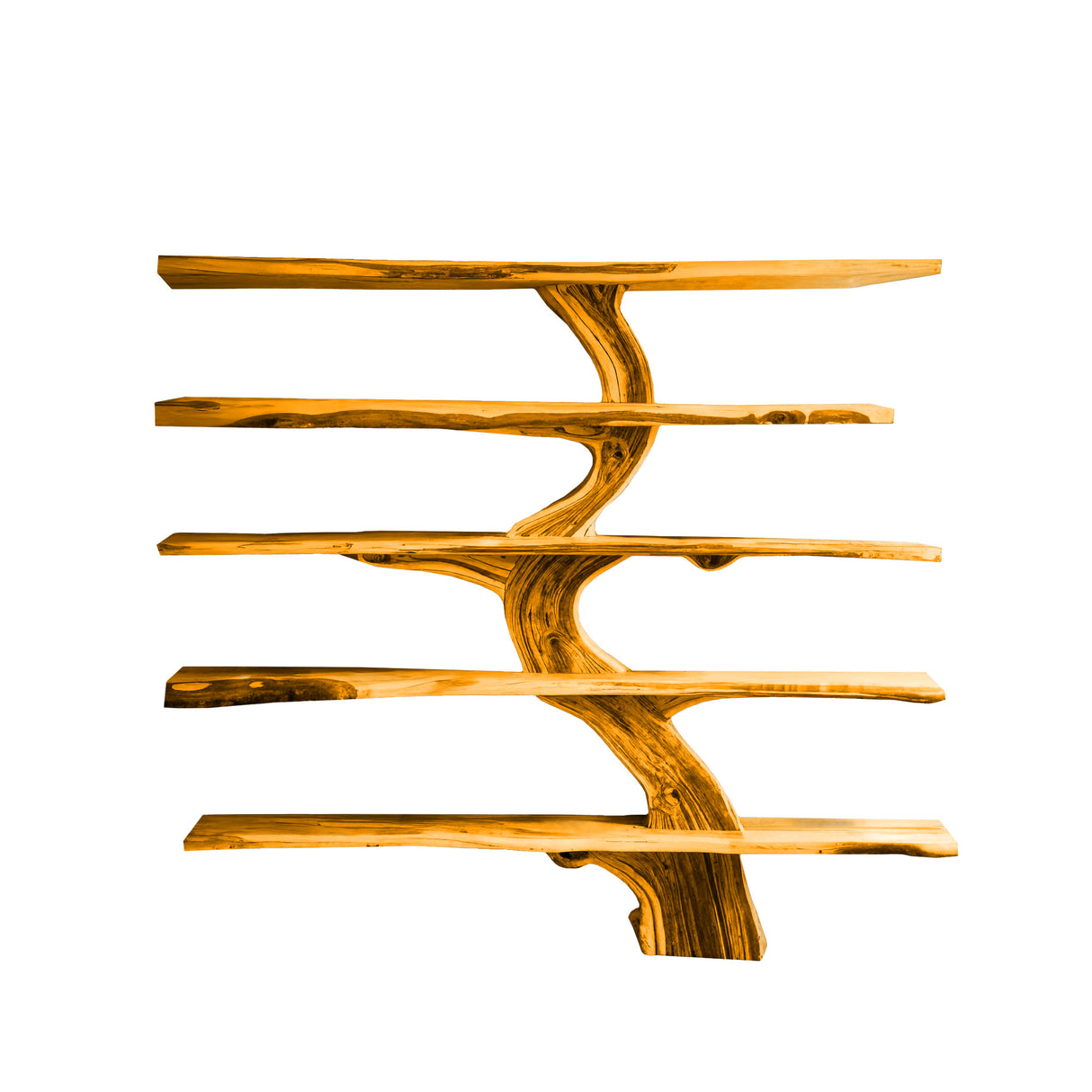 Natureroot Live-Edge Solid Wood Tree Bookshelf Teak - Timberustic Tree Bookshelf