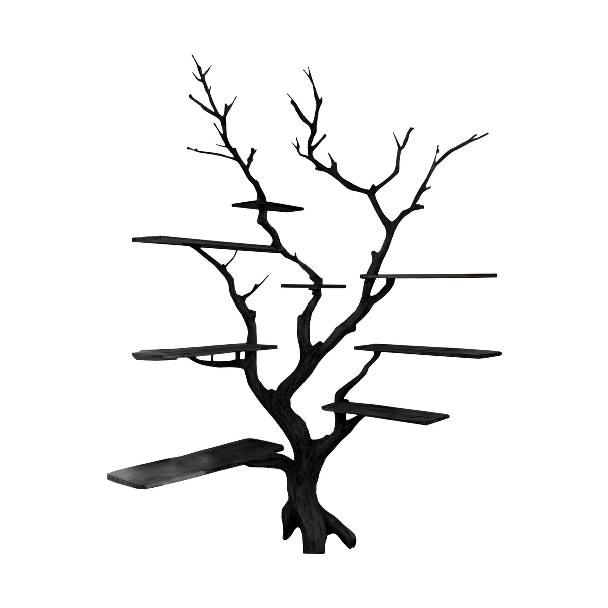 Sylva Organic Modern Solid Wood Tree Bookshelf