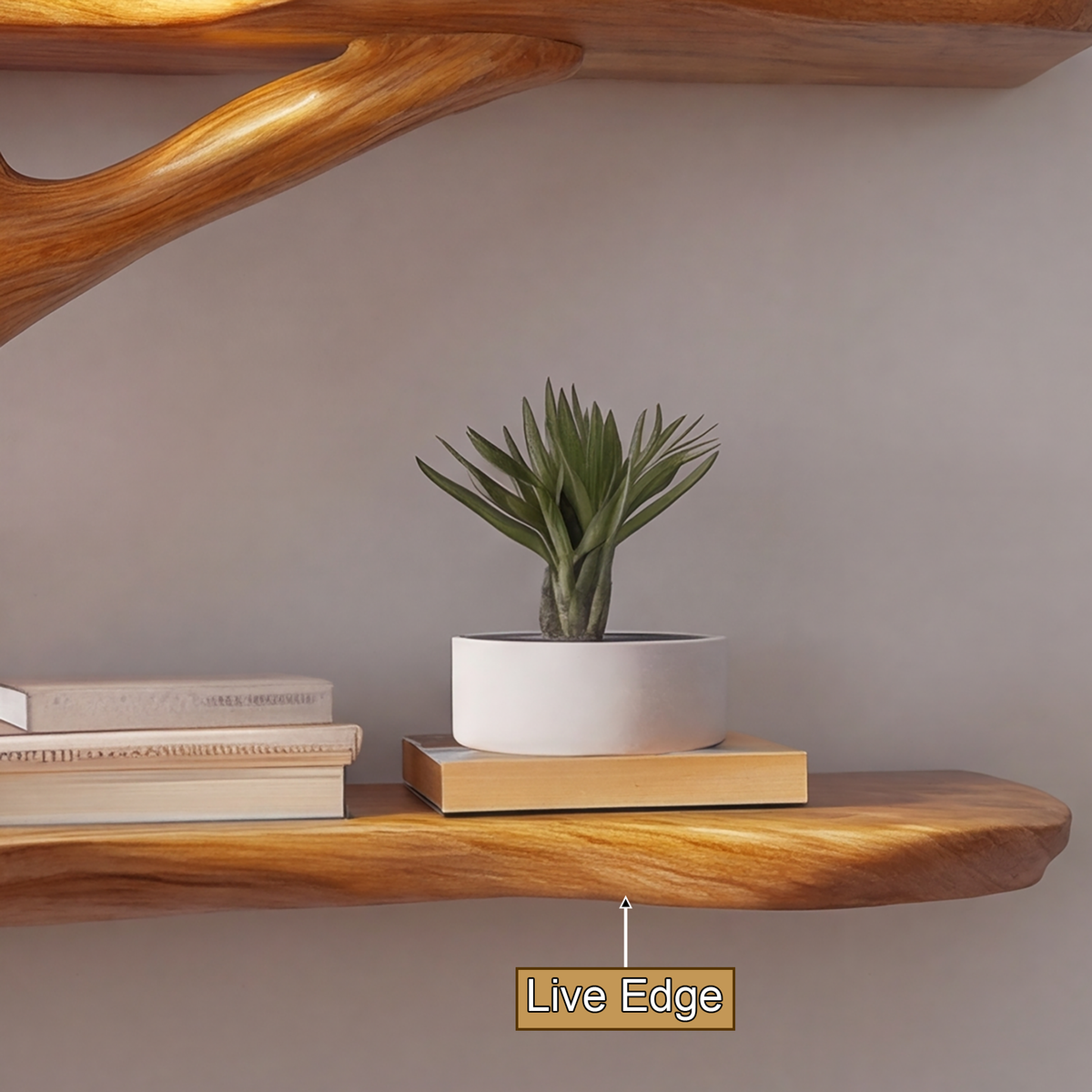 Virelith Handcrafted Solid Wood Floating Tree Bookshelf - Timberustic Floating Tree Bookshelf