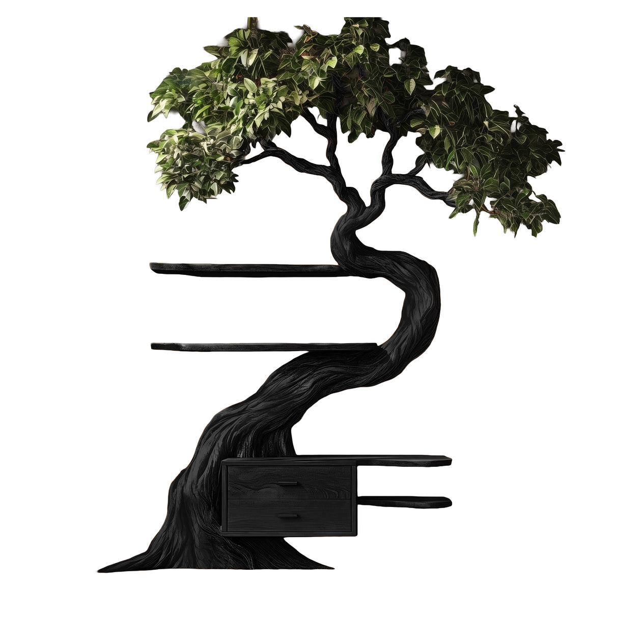Velmora Organic Modern Tree Bookshelf with Drawers Black - Timberustic Tree Bookshelf