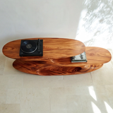 Aetherion Handcrafted Solid Wood Record Player Stand SPA234841 - Timberustic Record Player Stand With Storage