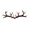 Antura Rustic Antler-Inspired Solid Wood Hook Rack