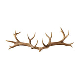Antura Rustic Antler-Inspired Solid Wood Hook Rack