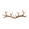 Antura Rustic Antler-Inspired Solid Wood Hook Rack