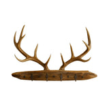 Antura Rustic Branchline Solid Wood Hook Rack