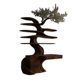 Arborell Organic Modern Tree Bookshelf with Drawers Dark Walnut - Timberustic Tree Bookshelf