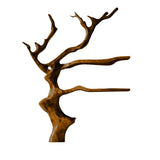 Arboreon Handcrafted Solid Wood Tree Wine Rack