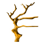 Arboreon Handcrafted Solid Wood Tree Wine Rack