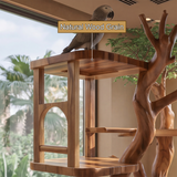 Arboreon Handcrafted Tree Branch Parrot Stand - Timberustic Tree Branch Parrot Stand