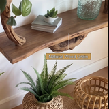 Arboris Botanical Handcrafted Tree Bookshelf - Timberustic Tree Bookshelf