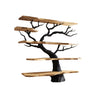 Arboris Noir Solid Wood Tree Bookshelf