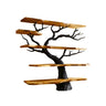 Arboris Noir Solid Wood Tree Bookshelf