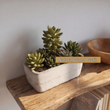 Arboris Vein Live Edge Solid Wood Tree Bookshelf - Timberustic Tree Bookshelf