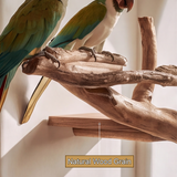 Arborwyn Handcrafted Tree Branch Parrot Stand SPA389458 - Timberustic Tree Branch Parrot Stand