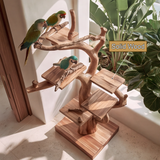 Arborwyn Handcrafted Tree Branch Parrot Stand SPA389458 - Timberustic Tree Branch Parrot Stand