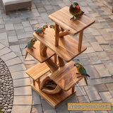 Arboryn Handcrafted Tree Branch Parrot Stand SPA725725 - Timberustic Tree Branch Parrot Stand
