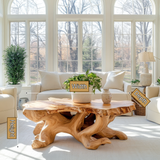 Asterion Sculpted Solid Wood Coffee Table SPA267541 - Timberustic Coffee Table