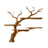 Asteroak Handcrafted Solid Wood Tree Bookshelf