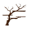 Asteroak Handcrafted Solid Wood Tree Bookshelf