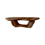 Aurea Flow-Form Sculptural Coffee Table