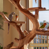 Aurelgrove Handcrafted Tree Branch Parrot Stand - Timberustic Tree Branch Parrot Stand