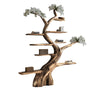 Aurelin Bloom Solid Wood Tree Bookshelf