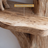 Aurelin Rooted Solid Wood Tree Bookshelf - Timberustic Tree Bookshelf