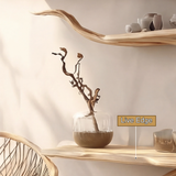 Aurevine Sculptural Solid Wood Tree Bookshelf - Timberustic Tree Bookshelf