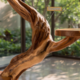 Aurevyn Handcrafted Tree Branch Parrot Stand SPA893857 - Timberustic Tree Branch Parrot Stand