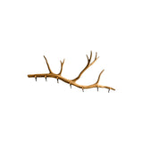 Branvia Sculpted Solid Wood Branch Wall Hook Rack