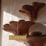 Bravion Sculpted Solid Wood Mushroom Floating Shelf SPA354332 - Timberustic Floating Shelf