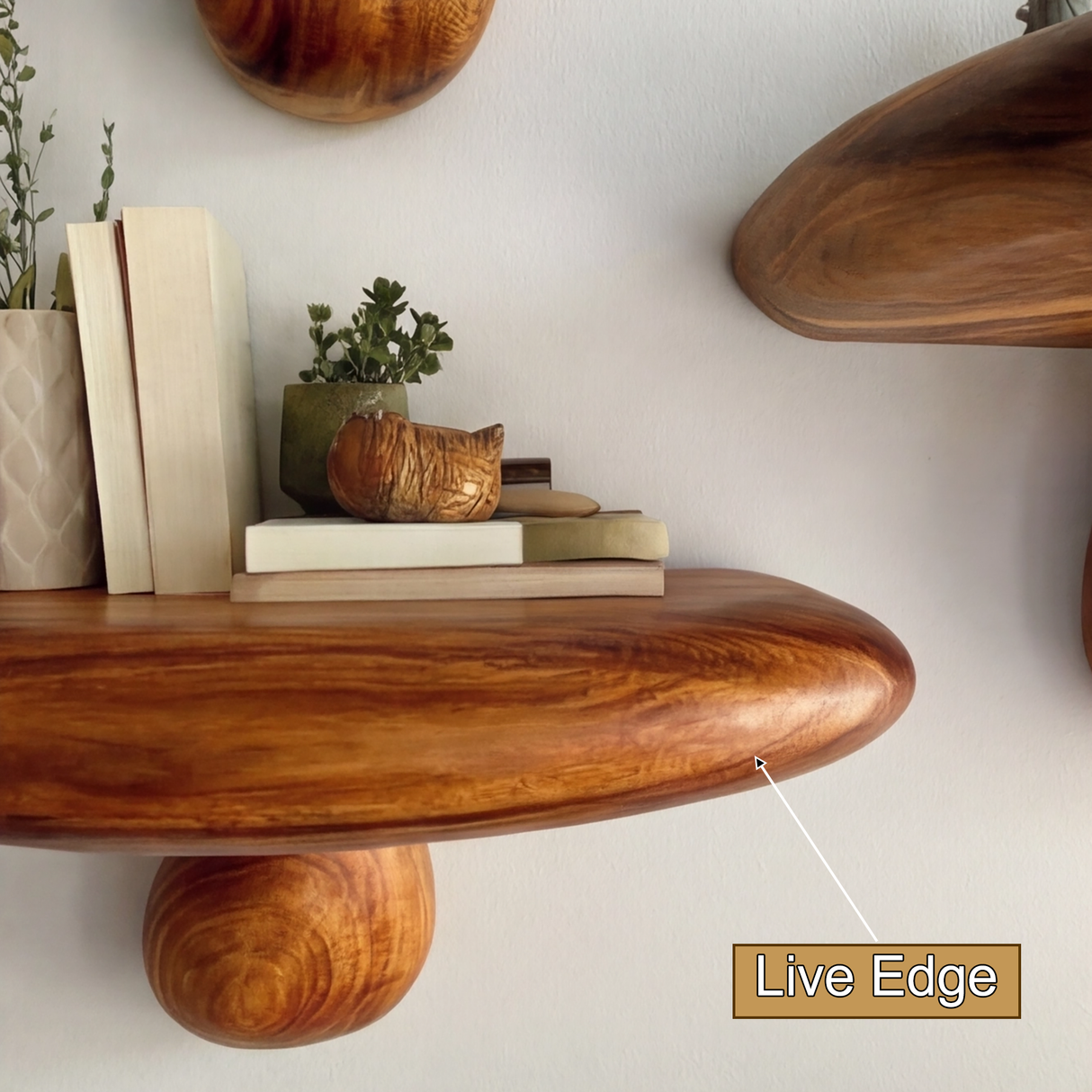 Bravon Mushroom Solid Wood Floating Shelf SPA475187 - Timberustic Floating Shelf