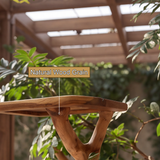 Briarhaven Handcrafted Tree Branch Parrot Stand SPA321502 - Timberustic Tree Branch Parrot Stand
