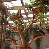 Briarhaven Handcrafted Tree Branch Parrot Stand SPA321502 - Timberustic Tree Branch Parrot Stand