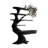 Caelrith Sculpted Solid Wood Tree Bookshelf with Drawers Black - Timberustic Tree Bookshelf