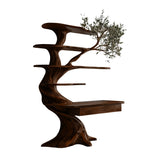 Caelrith Sculpted Solid Wood Tree Bookshelf with Drawers Dark Walnut - Timberustic Tree Bookshelf