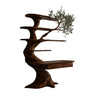 Caelrith Sculpted Solid Wood Tree Bookshelf with Drawers Dark Walnut - Timberustic Tree Bookshelf