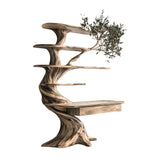 Caelrith Sculpted Solid Wood Tree Bookshelf with Drawers Natural Oak - Timberustic Tree Bookshelf