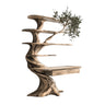 Caelrith Sculpted Solid Wood Tree Bookshelf with Drawers Natural Oak - Timberustic Tree Bookshelf