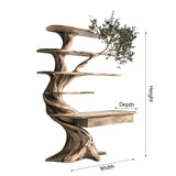 Caelrith Sculpted Solid Wood Tree Bookshelf with Drawers - Timberustic Tree Bookshelf