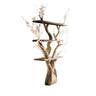 Caelroot Handcrafted Solid Wood Tree Bookshelf